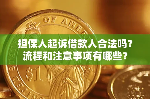 北京担保人起诉借款人合法吗？流程和注意事项有哪些？