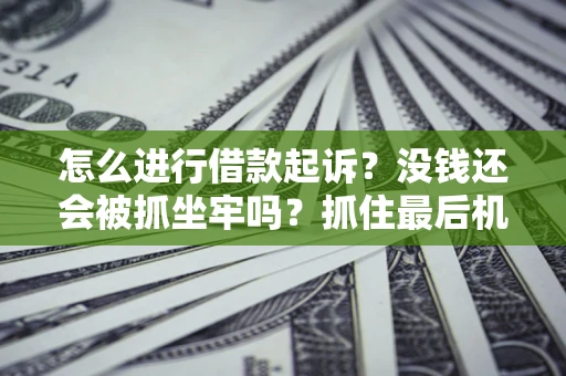 北京怎么进行借款起诉？没钱还会被抓坐牢吗？抓住最后机会！